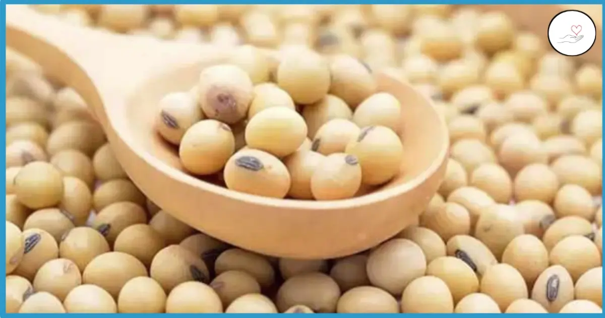 सोयाबीन खाने के 6 नुकसान : Eating Soybeans Side Effects Hindi