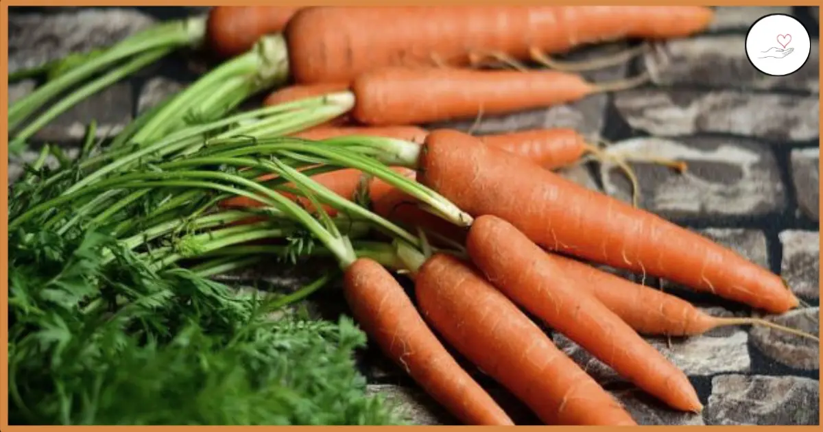 गाजर खाने के 13 अद्भुत फायदे 