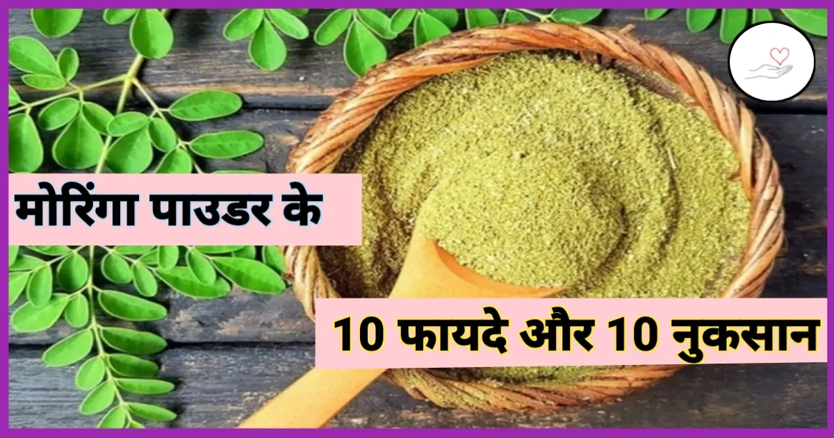 मोरिंगा पाउडर के फायदे और नुकसान : Benefits of Moringa Powder in Hindi