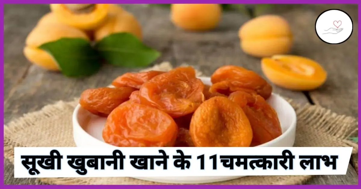 सूखी खुबानी खाने के लाभ (Dry Apricots Benefits In Hindi)