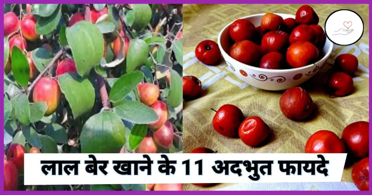 लाल बेर खाने के फायदे (Benefits of Jujube Fruit in Hindi)