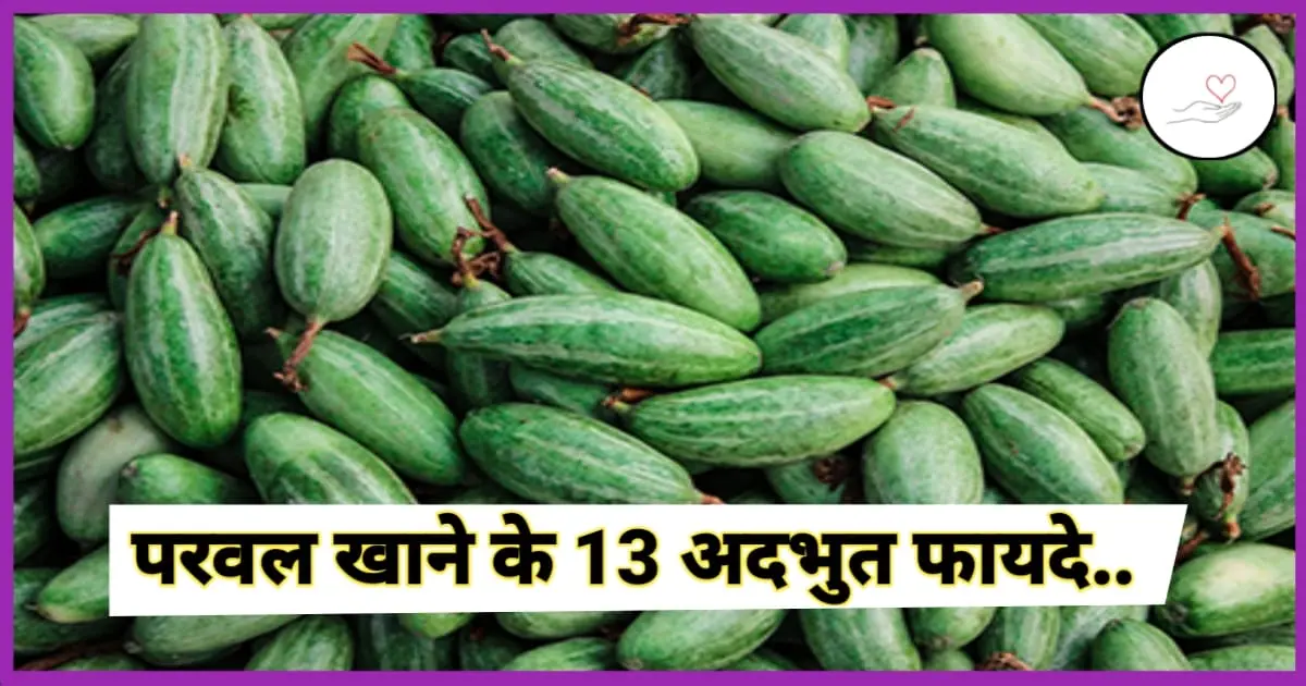परवल खाने के फायदे (Benefits of Eating Parwal in Hindi)