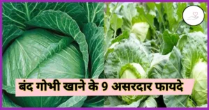 बंद गोभी खाने के फायदे (Benefits of Eating Cabbage in Hindi)